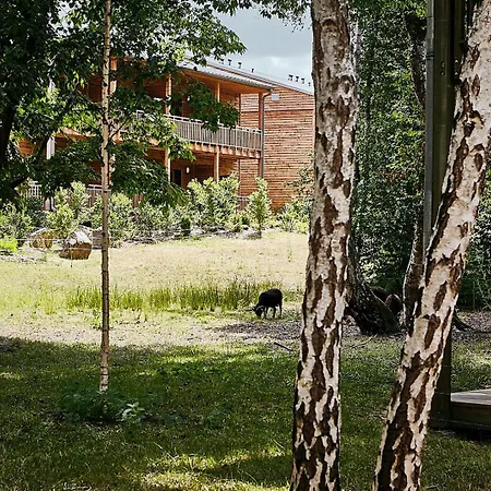 Des Trois Hiboux Plailly