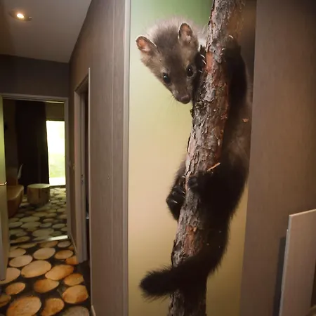 Des Trois Hiboux Hotel 3*