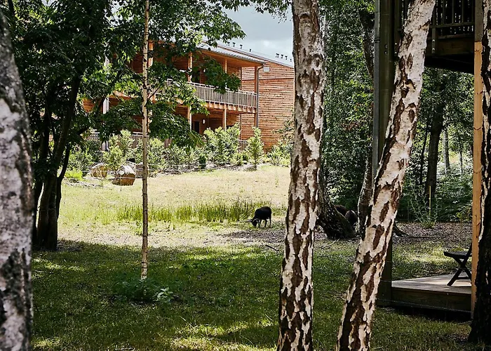 Des Trois Hiboux Plailly