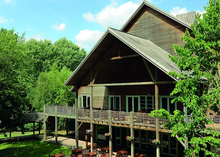 Des Trois Hiboux Plailly