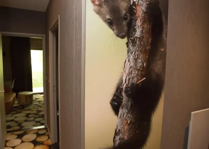 Des Trois Hiboux Hotel 3*