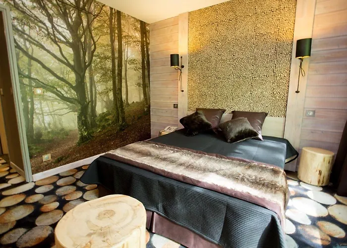 Hotel Des Trois Hiboux