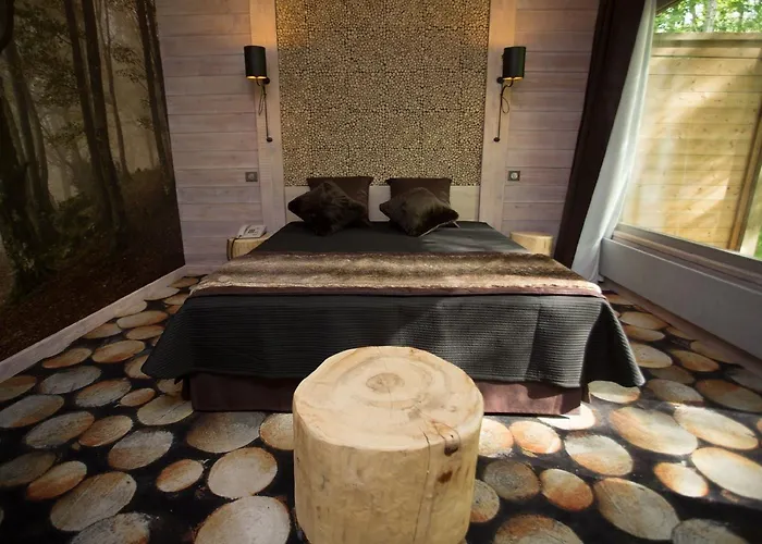 Des Trois Hiboux Hotel 3*