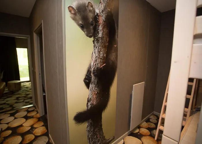 Hotel Des Trois Hiboux 3*