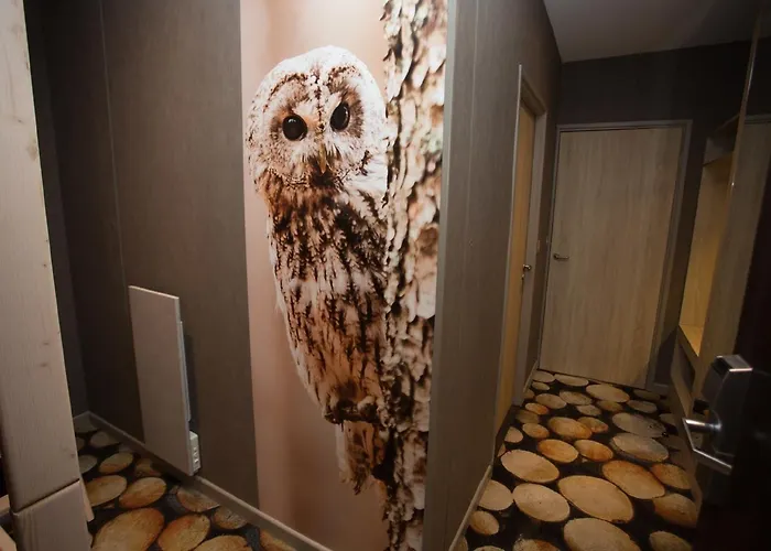 Hotel Des Trois Hiboux