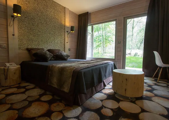 Des Trois Hiboux 3* Plailly