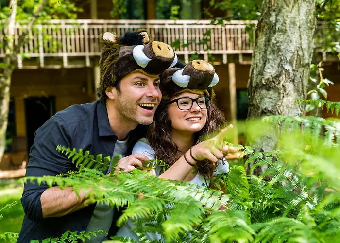 Hotel Des Trois Hiboux Plailly